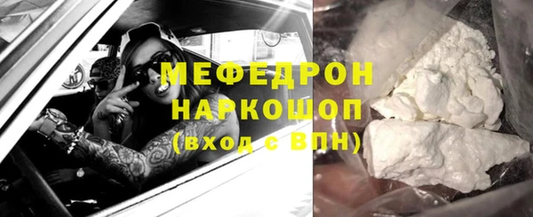 spice Богородицк