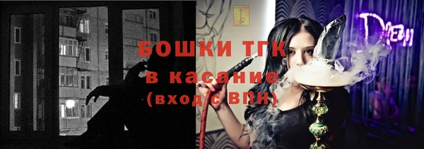 spice Богородицк