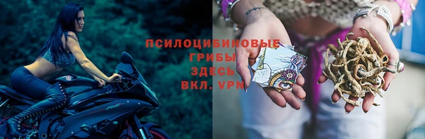 бутик Богданович