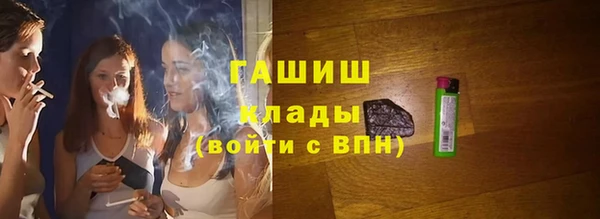 прущий лед Бородино