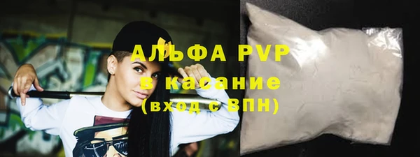 spice Богородицк