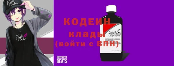 прущий лед Бородино