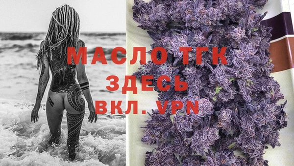 spice Богородицк