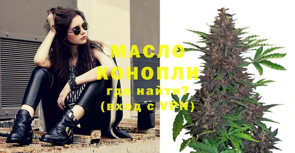 spice Богородицк