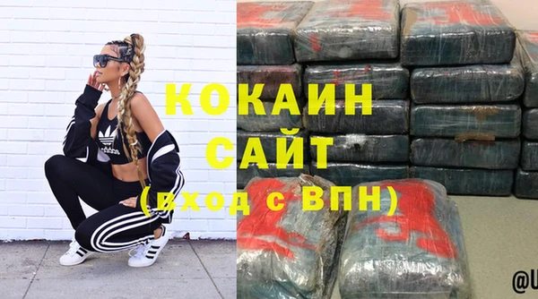 spice Богородицк