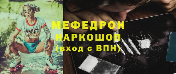 spice Богородицк
